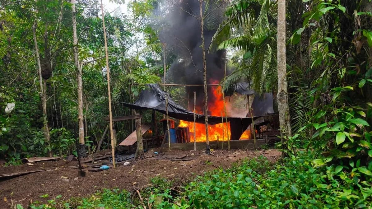 381 laboratorios destruidos y 2.7 toneladas incautadas: el golpe de $ 15.600 millones al financiamiento de las disidencias en Nariño