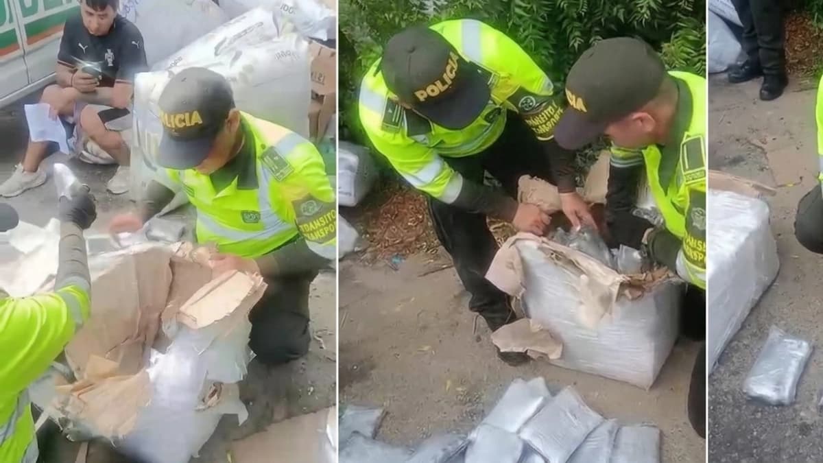 Incautan 32 kilos de marihuana que iban ocultos en una encomienda con destino a Barranquilla
