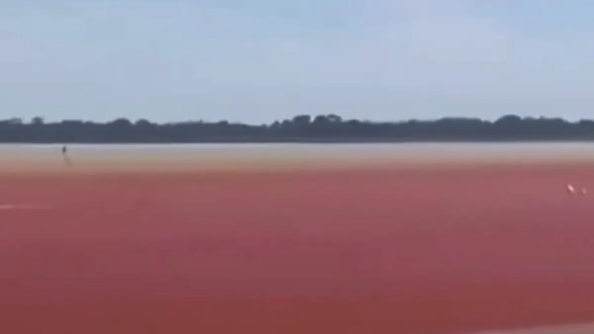 Impresionante | Ciénaga de El Llanito, en Barrancabermeja, se puso de tono rojo: expertos aseguran que es la grave contaminación y fenómeno de El Niño