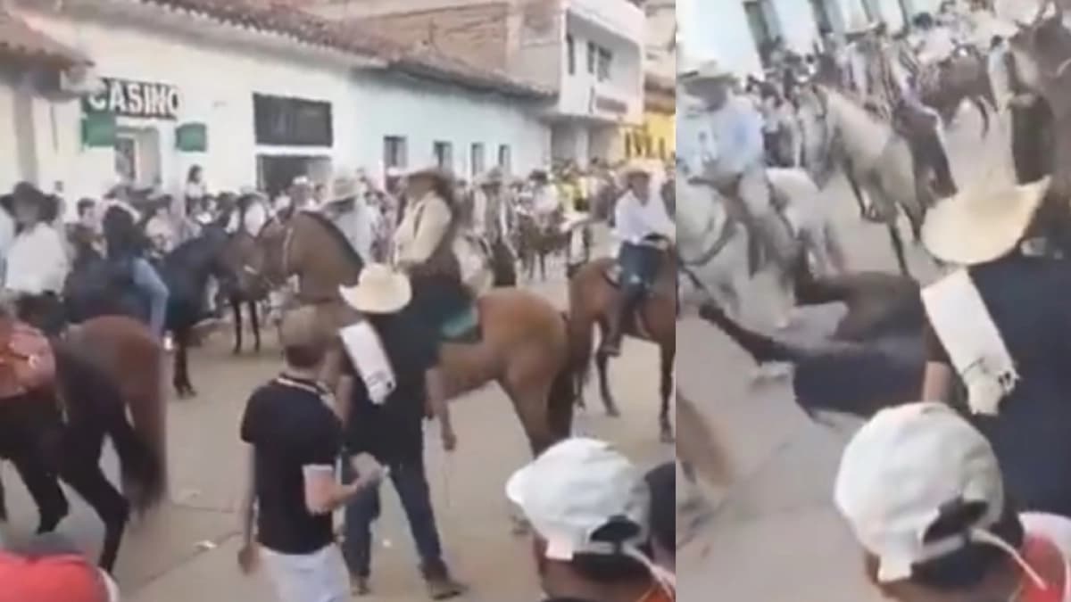 Caballo murió durante cabalgata en Villanueva, Santander: esto se sabe del caso