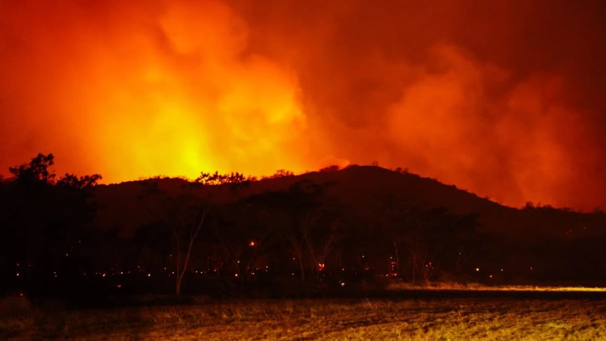 Incendios forestales en Colombia hoy sábado 22 de agosto: en Colombia se suspenden las quemas abiertas controladas por riesgo de incendios forestales