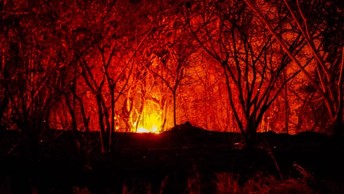 'En su mayoría, los incendios forestales son provocados de manera voluntaria e involuntaria por acciones humanas', directora de Cortolima