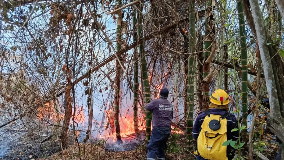 'Es doloroso ver una montaña, que ayer fue vida, consumirse en llamas por 5 y 7 días', bombero que lucha contra incendios forestales en el Tolima