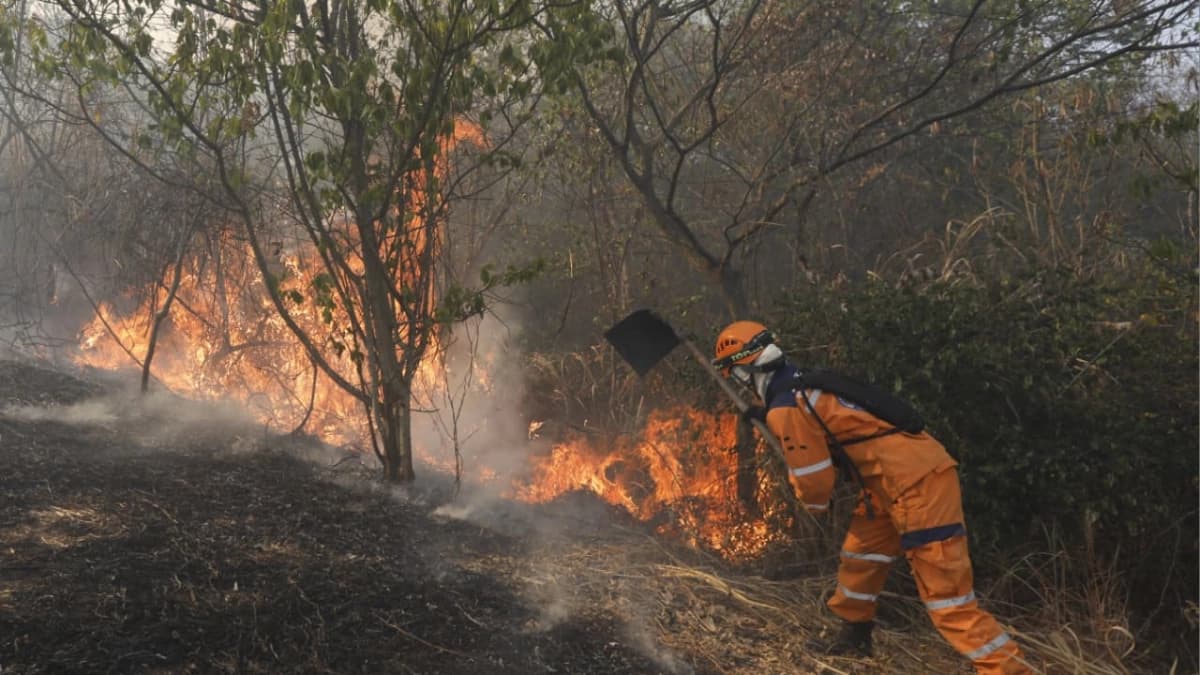Emergencia por incendio en las montañas de Cali: cinco casas arrasadas, una adulta mayor afectada y dos bomberos con lesiones