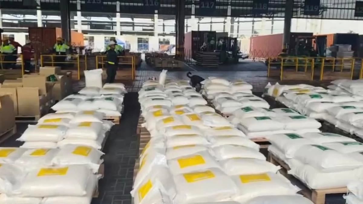 Van 25 toneladas de cocaína incautadas en el Puerto de Cartagena en lo que va del año: solo en las últimas horas cayó un cargamento con 7,6 toneladas