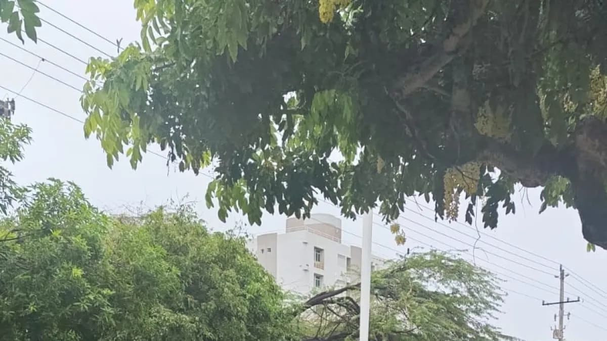 Emergencias por lluvias en el Caribe: primeros balances de inundaciones y desbordamientos en varias ciudades; se esperan más precipitaciones