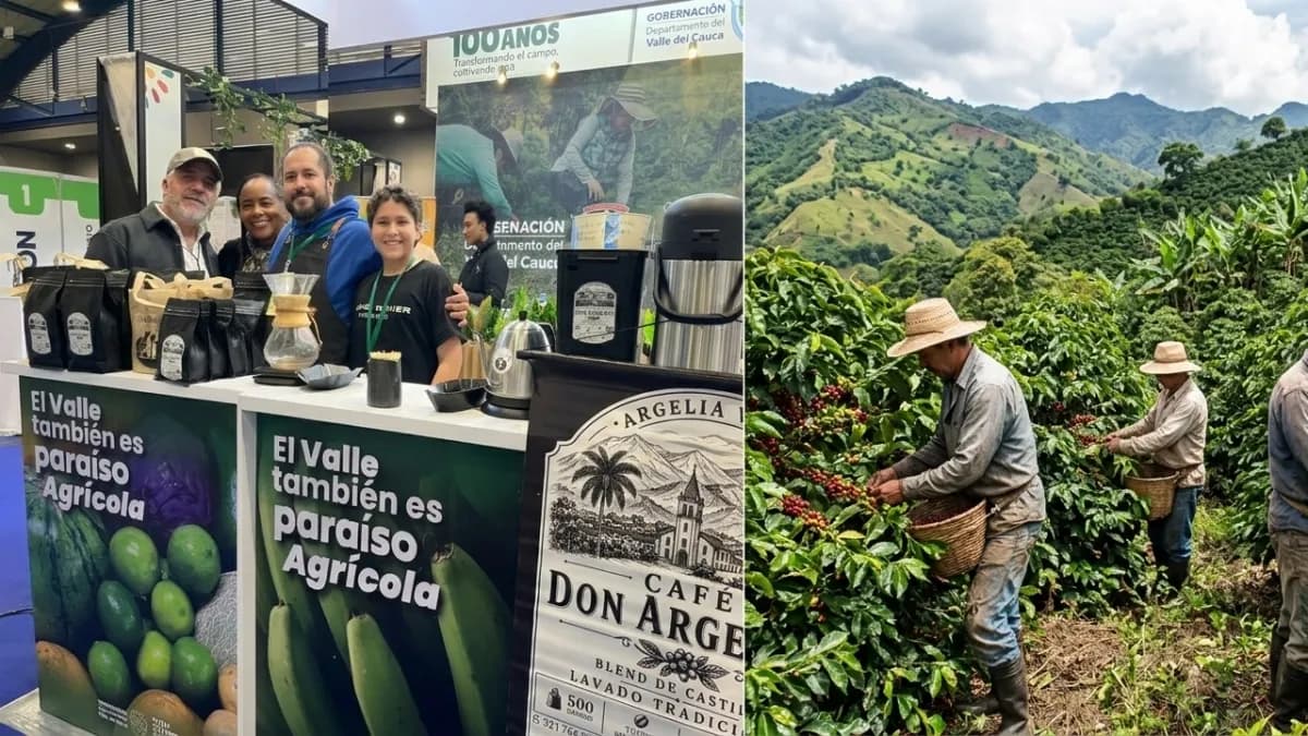 Un hijo de 13 años, un padre sin casa y un grano que conquistó a Bogotá: la travesía de la familia detrás de Café Don Argelino